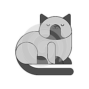 Siamese cat isolated. Thoroughbred pet. Vector illustration
