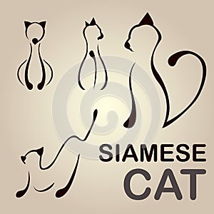 Siamese Cat Line