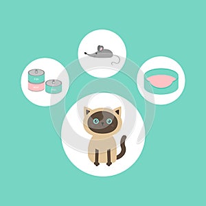 Siamese cat round circle icon set in shape of paw print.