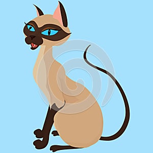 Siamese Cat Sitting Illustration Isolated on blue