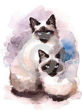 Siamese Cats Watercolor Hand Painted Pet Portrait Illustration