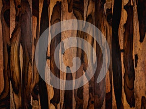 Siamese Rosewood texture background.