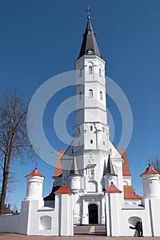 Siauliai, Lithuania Cathedral of Saints Peter and Paul