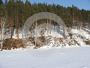 Siberia, forest near station Olha