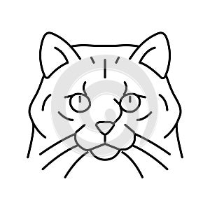 siberian cat cute pet line icon vector illustration