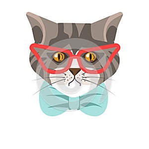 Siberian cat with red glasses and blue tie portrait