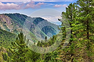 Siberian coniferous taiga in foothills