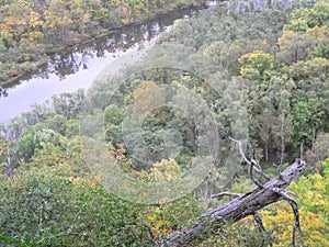 Siberian forest in autemn