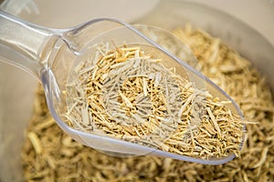 Siberian ginseng root photo