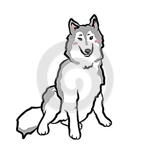 Siberian Husky dog cartoon vector illustration