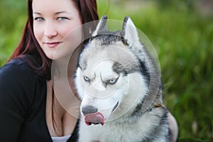 Siberian Husky dog outdoors