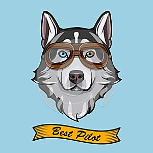 Siberian husky dog pilot. Aviators glasses. Pilot glasses. Vector.
