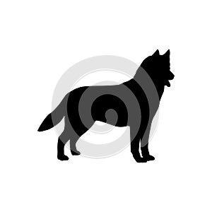 Siberian husky dog silhouette