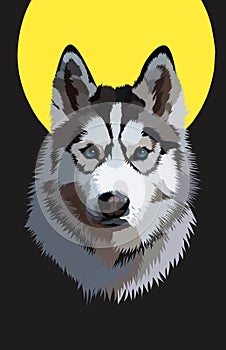 Siberian husky dog wolf animal pet vector illustration vexel design photo