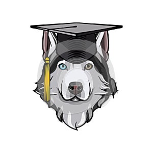 Siberian Husky graduate. Graduation cap hat. Dog breed. Vector.