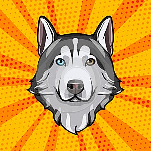 Siberian Husky head. Dog portrait. Dog breed. Vector illustration.