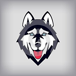 Siberian husky head logo or icon. Good-natured dog shows its tongue.