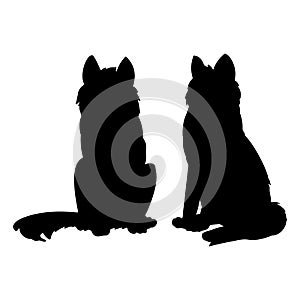 Siberian Husky or Laika Dog silhouettes. Domestic animal or pet