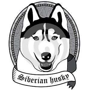 Siberian husky Portrait. Isolated Vector dog Illustration