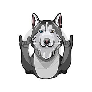 Siberian Husky with rock gesture, horns. Vector illustration. photo