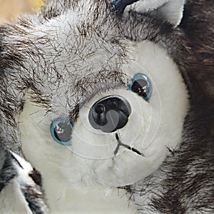 Siberian Husky Stuffed Animal