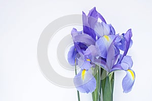 Siberian iris bouquet