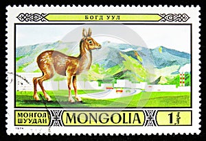 Siberian Musk Deer Moschus moschiferus, Protected Fauna in Mongolian Wildlife Reserves serie, circa 1974