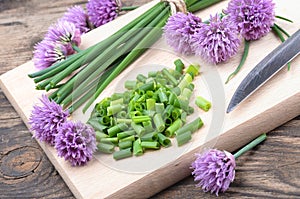 Siberian onion - Allium Schoenoprasum, cut on a plank. Vegetarian food and culinary use. Spices and