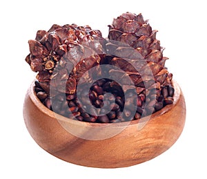 Siberian pine cone and siberian pine nuts