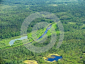 Siberian taiga - aerial view