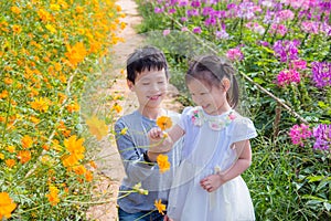 Sibling in flower garden