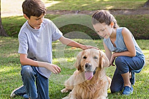 Sibling with their dog in the park