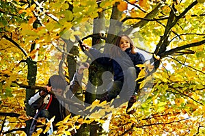 Siblings climbing up a tree