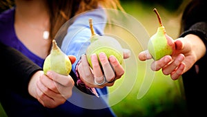 Siblings holding pears in their hands