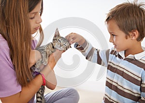 Siblings, kitten and young boy in family home, scratching and love for small animal. Smile, happy or caring children