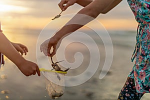 Siblings looking for shellfish during sunset