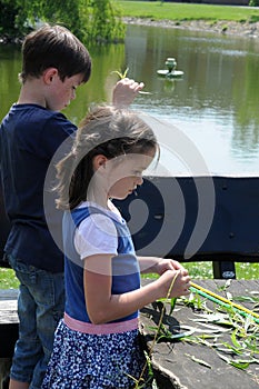 Siblings play with natural material