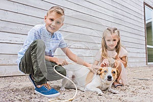 siblings playing with dog at animals shelter and choosing