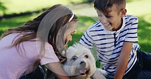 Siblings playing with their dog in the park