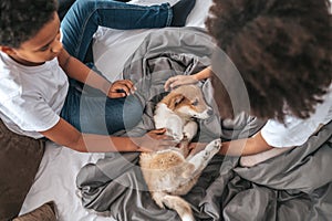 Siblings spending time at home and playing with puppy