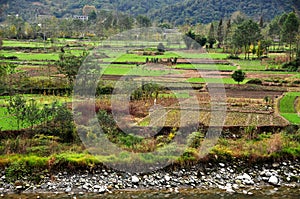 Sichuan Province, China: Jianjiang River Valley Farmlands photo