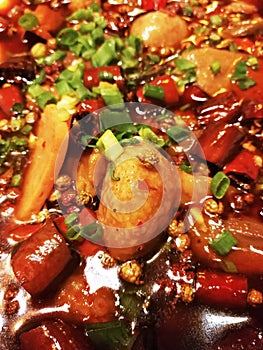 Sichuan Style Spicy Food