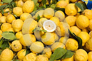 Sicilian citron