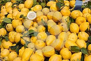 Sicilian citron photo