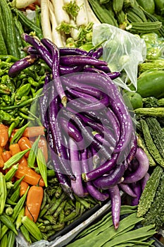 Sicilian long purple eggplants vegetables for sale at Itallian market
