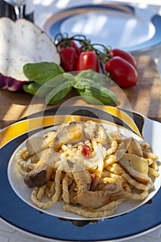 Sicilian pasta dish with traditional busiata pasta and sicilian vegetables, Viola eggplant, tomatoes served ourdoor on terrace