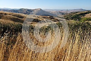 Sicilian Rural Landscape, Sicily