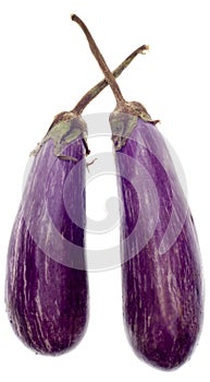 Sicilian Zebra Eggplant