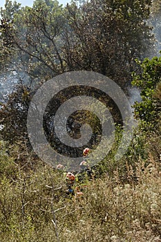 Firefighters on work on forest fireblaze