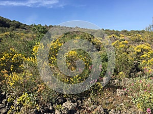 Sicily Etna summer 2016 landscape